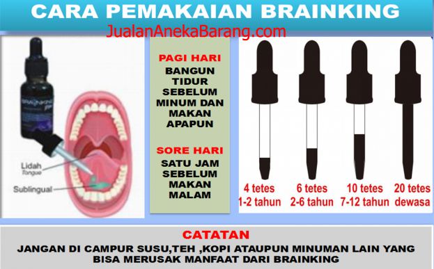 cara pemakaian brainking toko aneka barang